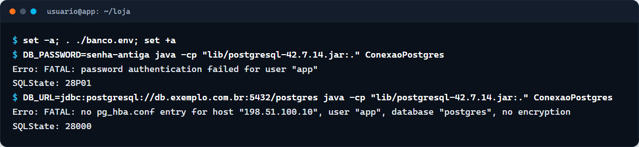 Terminal com os erros password authentication failed for user app e no pg_hba.conf entry for host, com os SQLStates 28P01 e 28000