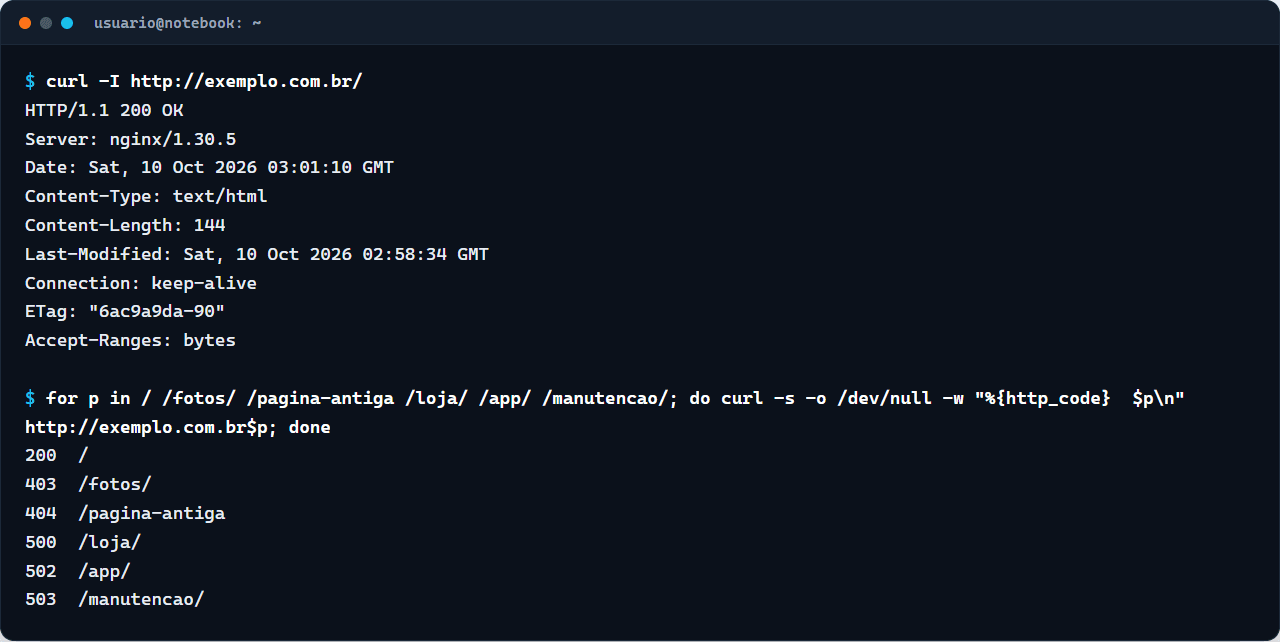 Terminal com curl -I mostrando HTTP 200 e um laço com os códigos 200, 403, 404, 500, 502 e 503 em endereços do site de teste