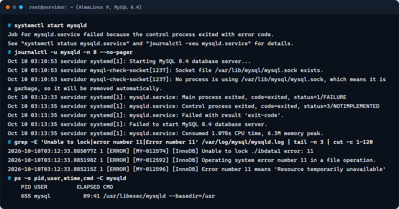 journalctl com o socket tratado como lixo e log do MySQL 8.4 com Unable to lock ./ibdata1 error 11, e ps mostrando o mysqld que já rodava