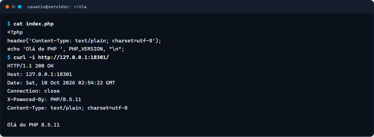 Terminal com o arquivo index.php e a resposta HTTP 200 com o cabeçalho X-Powered-By: PHP/8.5.11