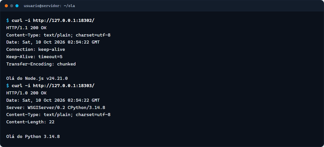 Terminal com as respostas HTTP 200 de um servidor Node.js 24 e de um servidor WSGI do Python 3.14