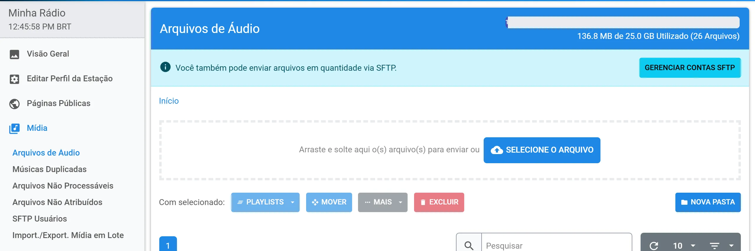 Página Arquivos de Áudio do painel, com o item no menu Mídia e o espaço usado do plano no alto
