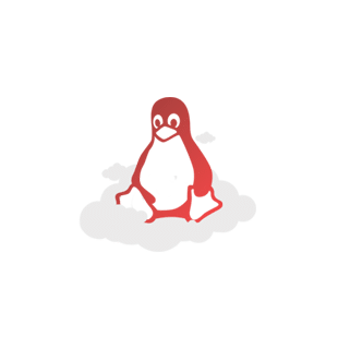 VPS CLOUD SERVER LINUX